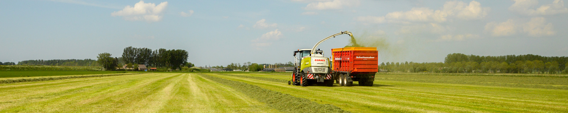 Rossen-ravenstein-gras-hakselen2